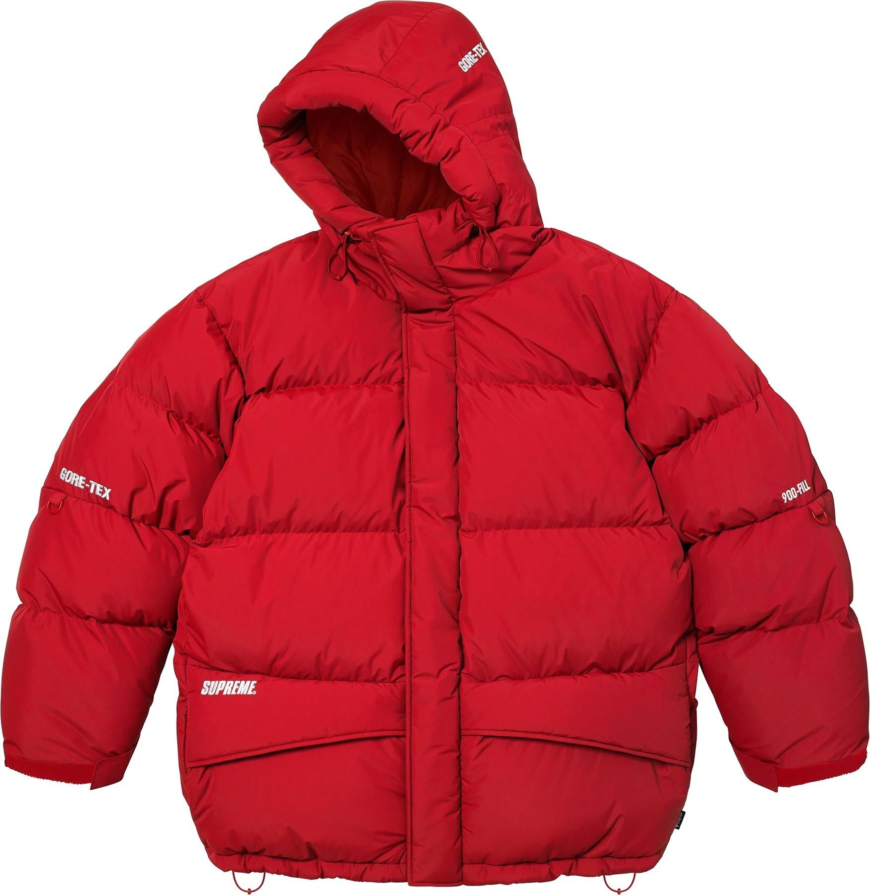 GORE-TEX 900-Fill Down Parka view 23